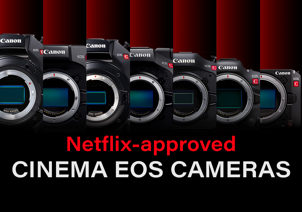 Netflix-Approved Canon Cinema EOS Cameras: An Introduction