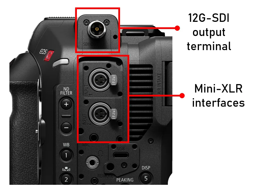 Netflix-Approved Canon Cinema EOS Cameras: An Introduction