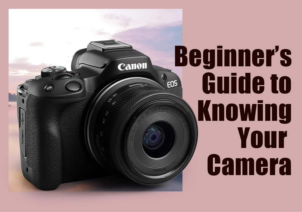 styles/webp/public/images/canon-beginners-guide_2528-t_0.jpg.webp
