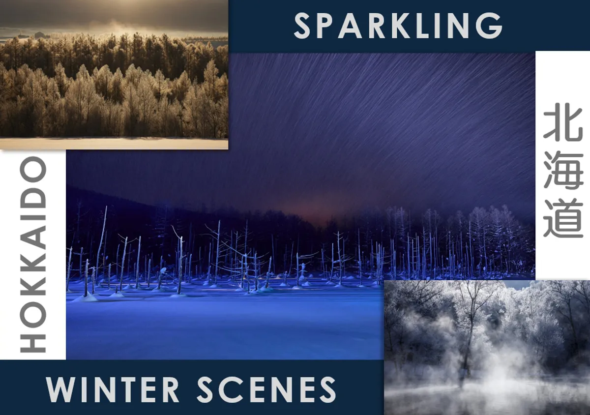 styles/webp/public/legacy/articles/hokkaido-winter-photography-spots_2470-t.jpg.webp