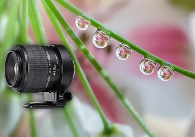 mp-e65mm-f-2-8-1-5x-macro-