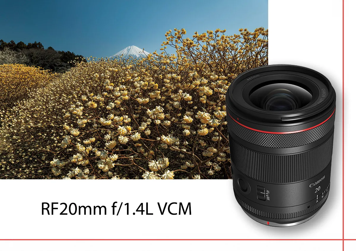 styles/webp/public/legacy/articles/rf20mm-f-1-4l-vcm-lens-review_2535-t.jpg.webp